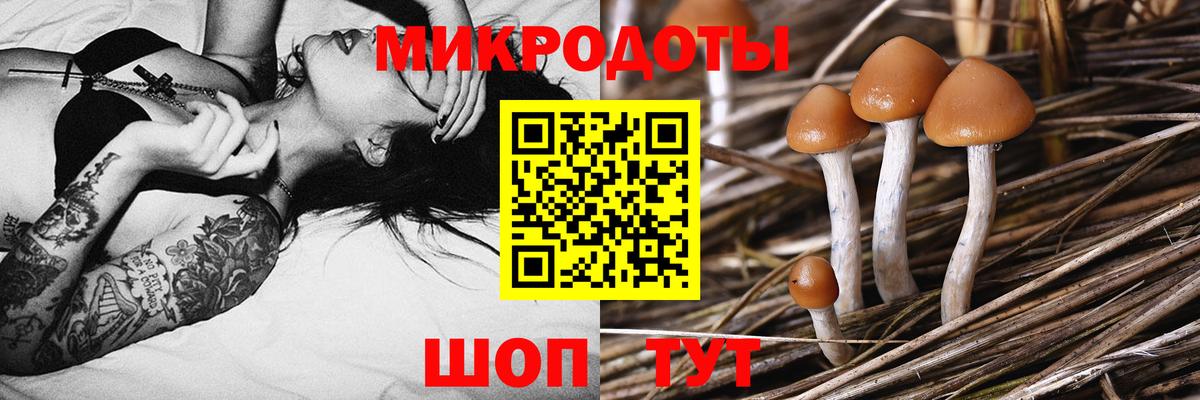 Псилоцибиновые грибы GOLDEN TEACHER  Вход с VPN  Евпатория 